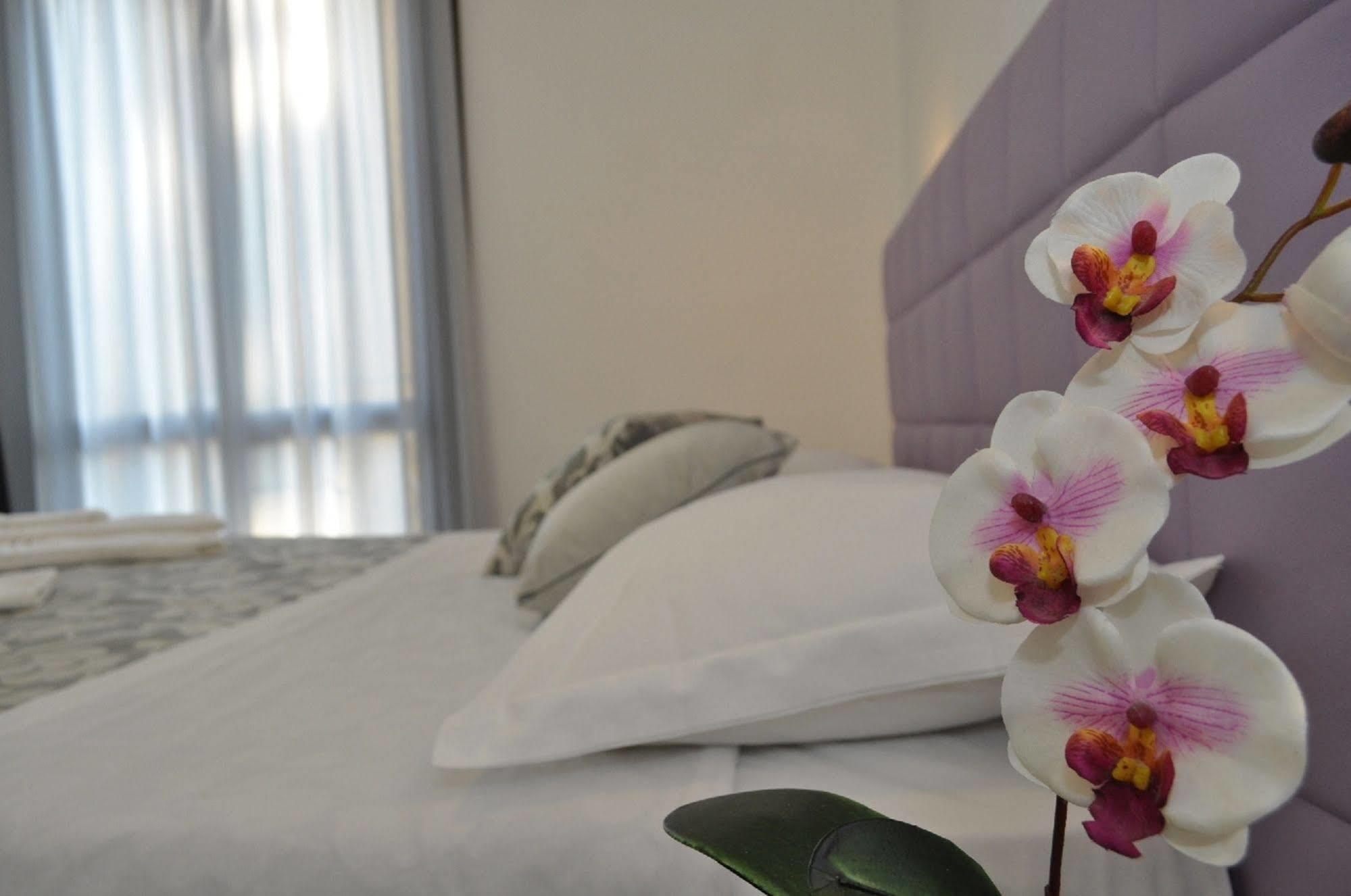 סן ויטו לו קאפו Hotel Sikania מראה חיצוני תמונה